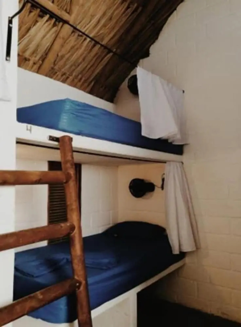 El Zoo Hostel & Pool