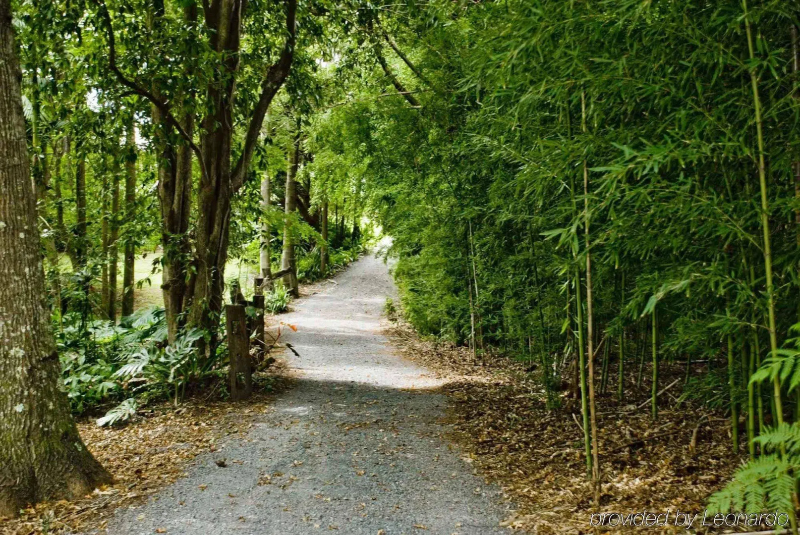 Escarpment Retreat & Day Spa