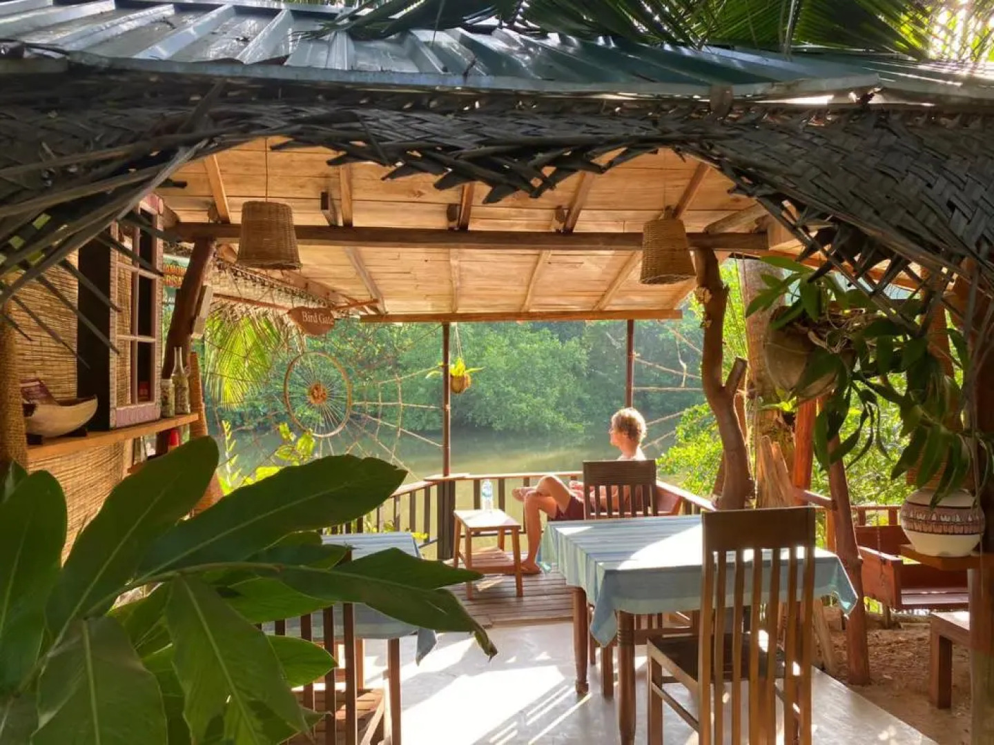 Bird Villa