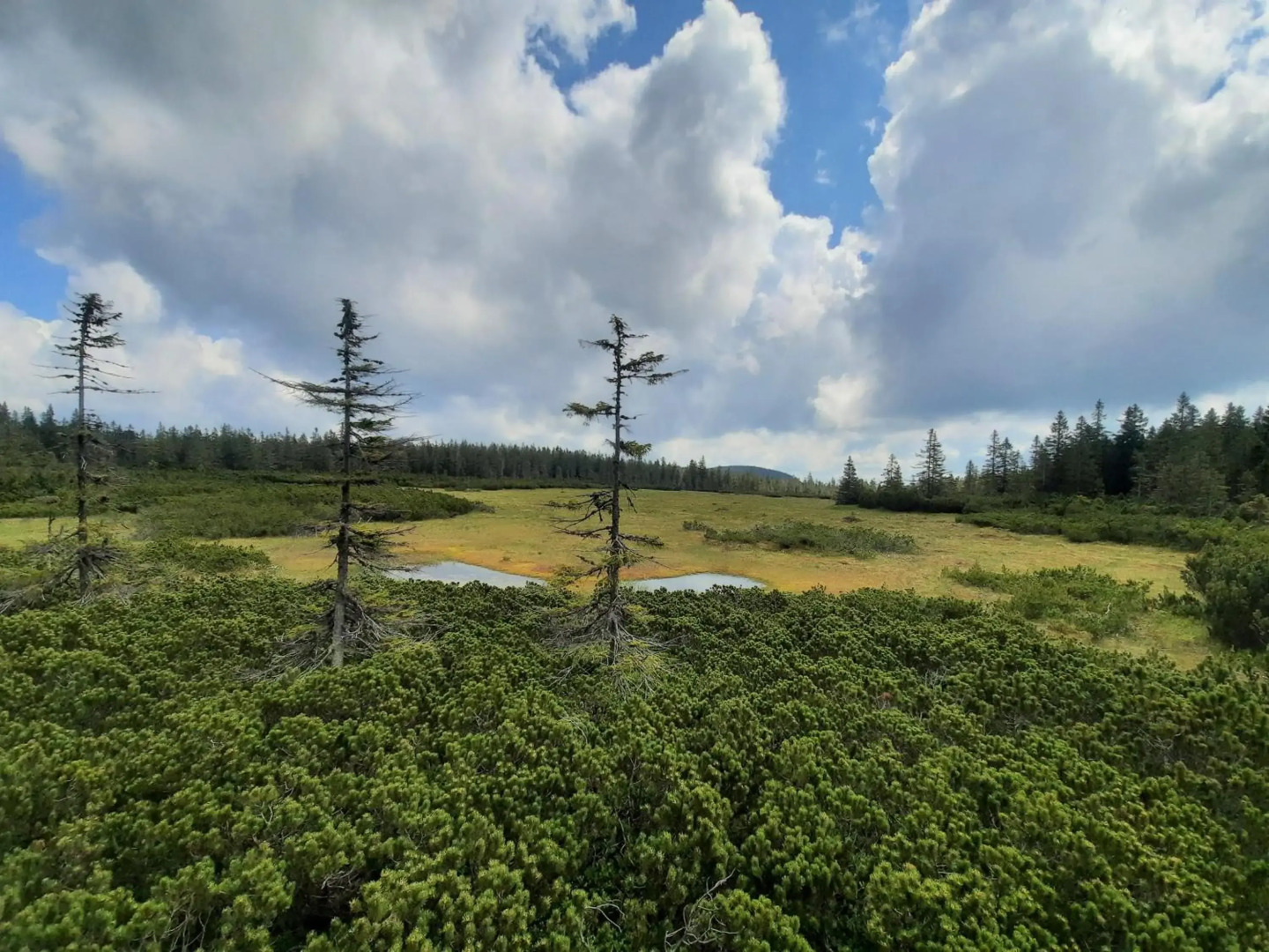 Velký apartmán Cihlarka pro až 17 osob