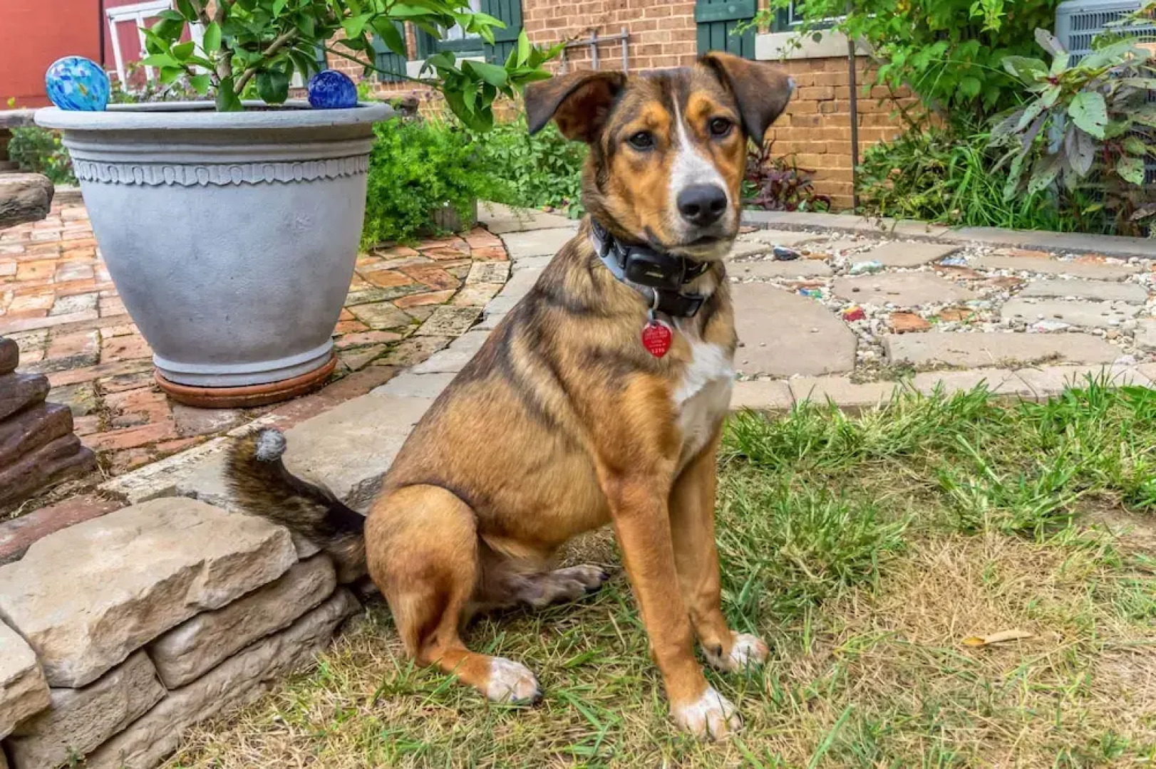 Dupriest Room 1 Bedroom by Main Street Bed & Breakfast