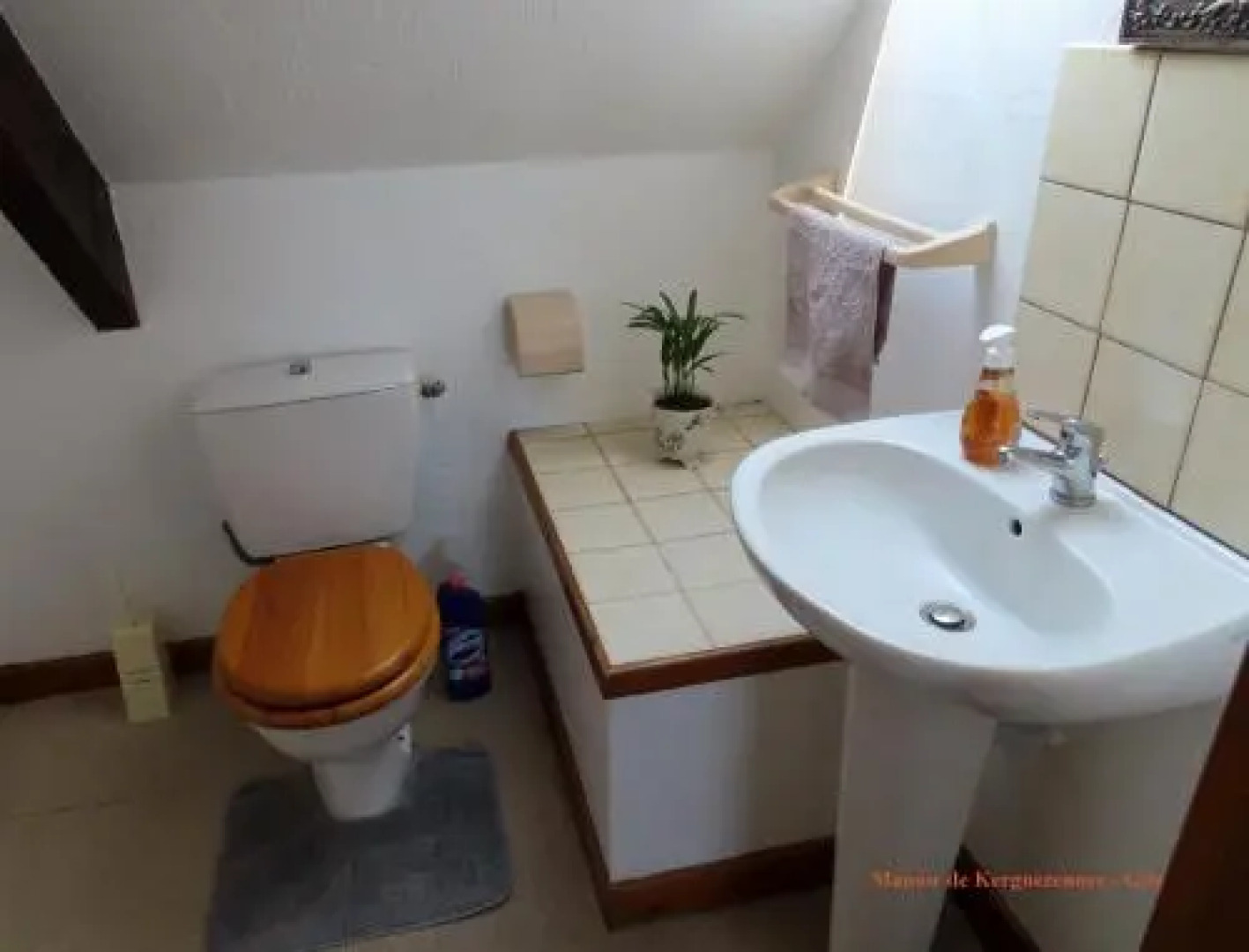 Manoir de Kerguezennec Holiday Home