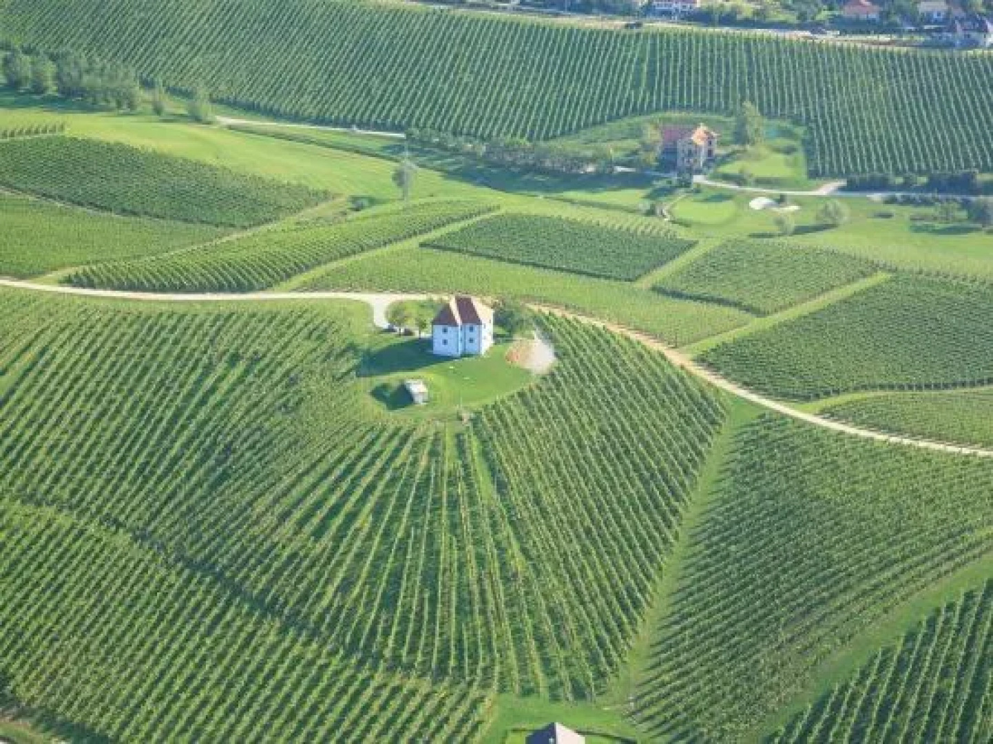 Wine Grower's Mansion Zlati Gric