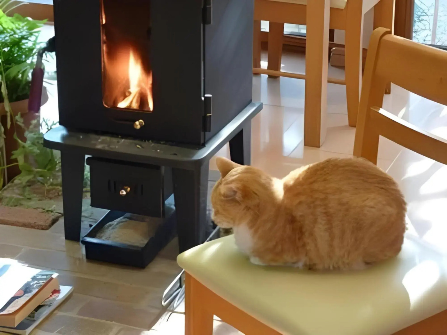 Guesthouse Mintaro Hut
