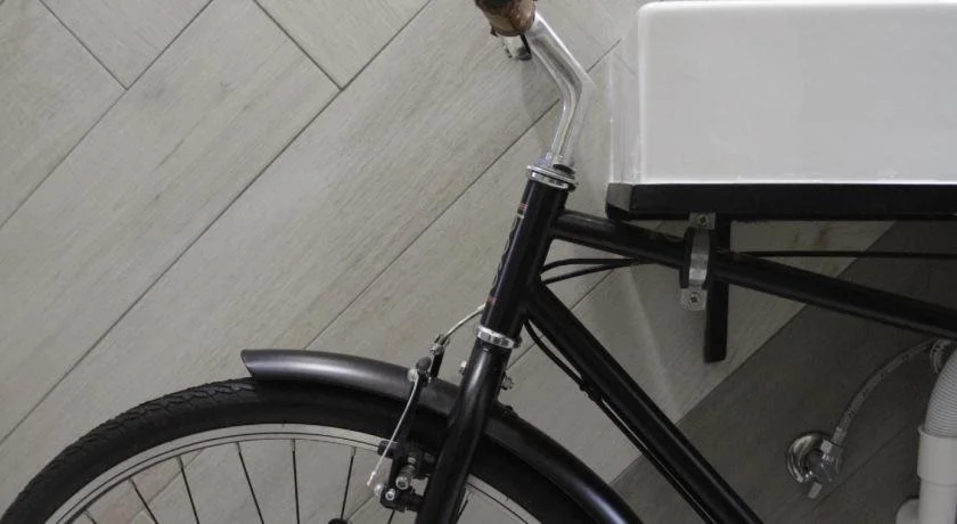 Procyon Boutique & Suites