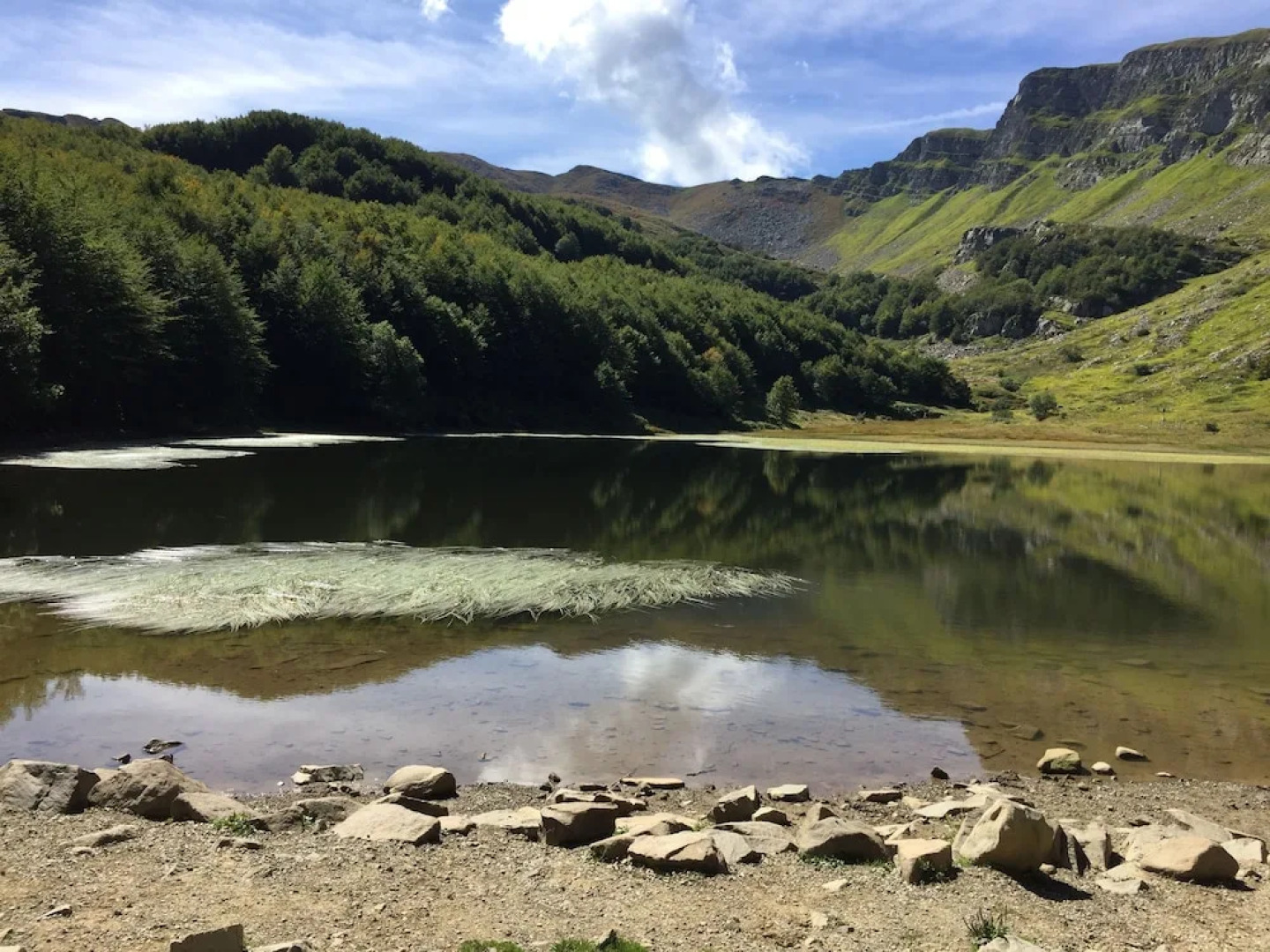 Bed & Breakfast Casa Benassi