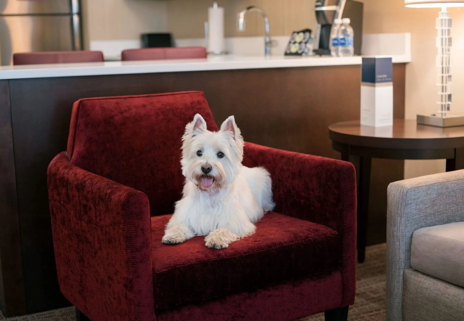 Residence Inn Chicago Downtown/Loop