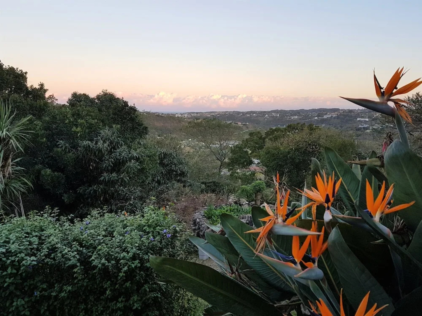 On-the-Summit Lodge & Conference Venue