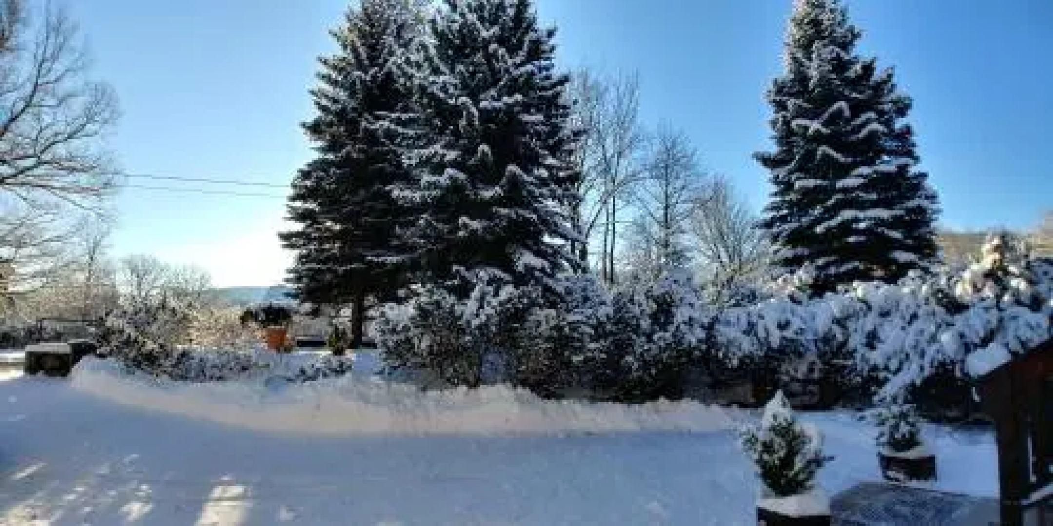 Apartments in Villa Barbara