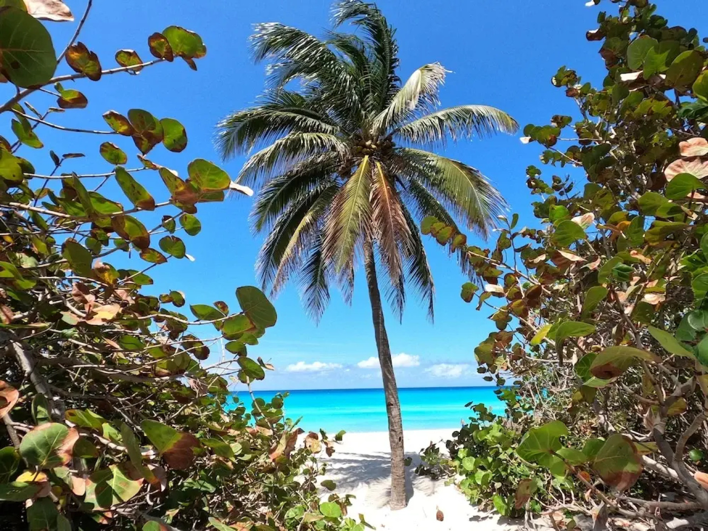 La Cuna del Daiquiri Boutique Hotel