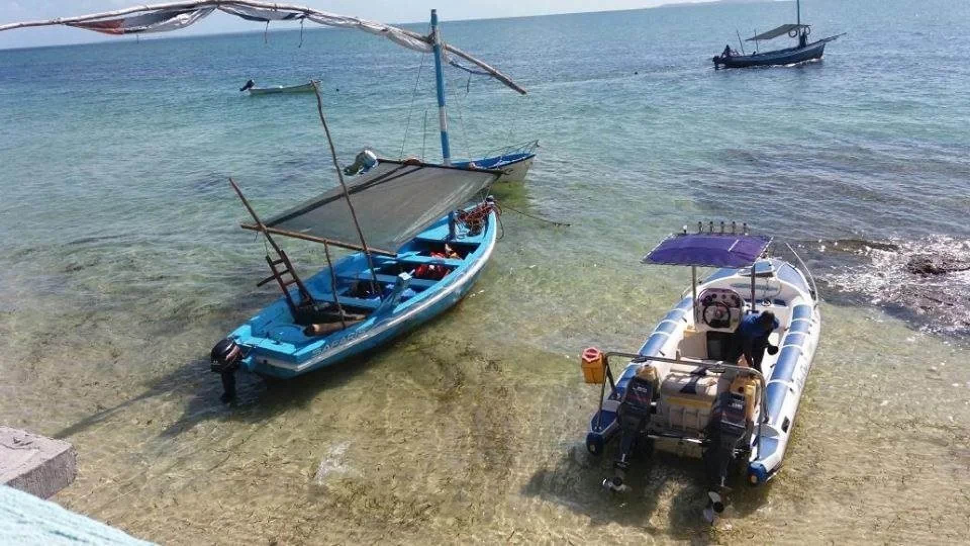 Dolphin Dhow Beach Safaris