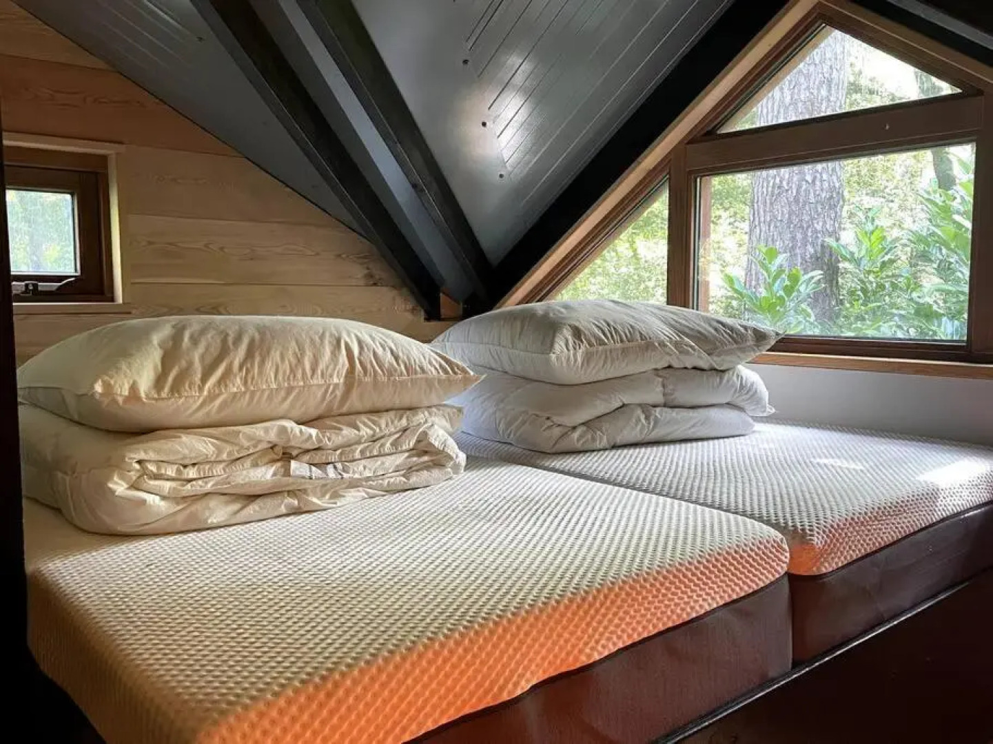 Houten bosvilla met sauna en 2 slaapkamers