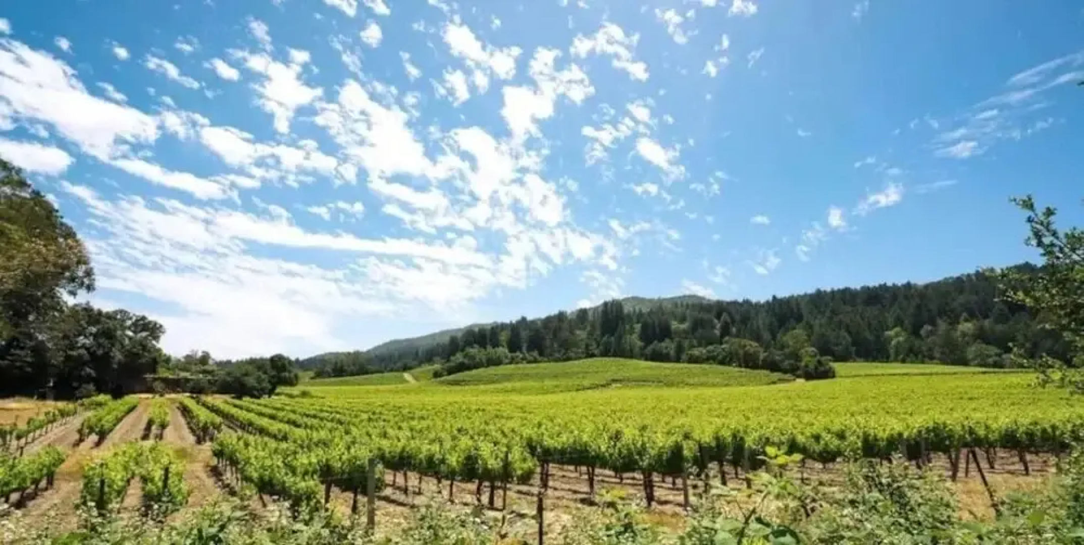 Wine Country Retreat W/ Casita, Bocce And Sunset Views! 3 Bedroom Home by RedAwning