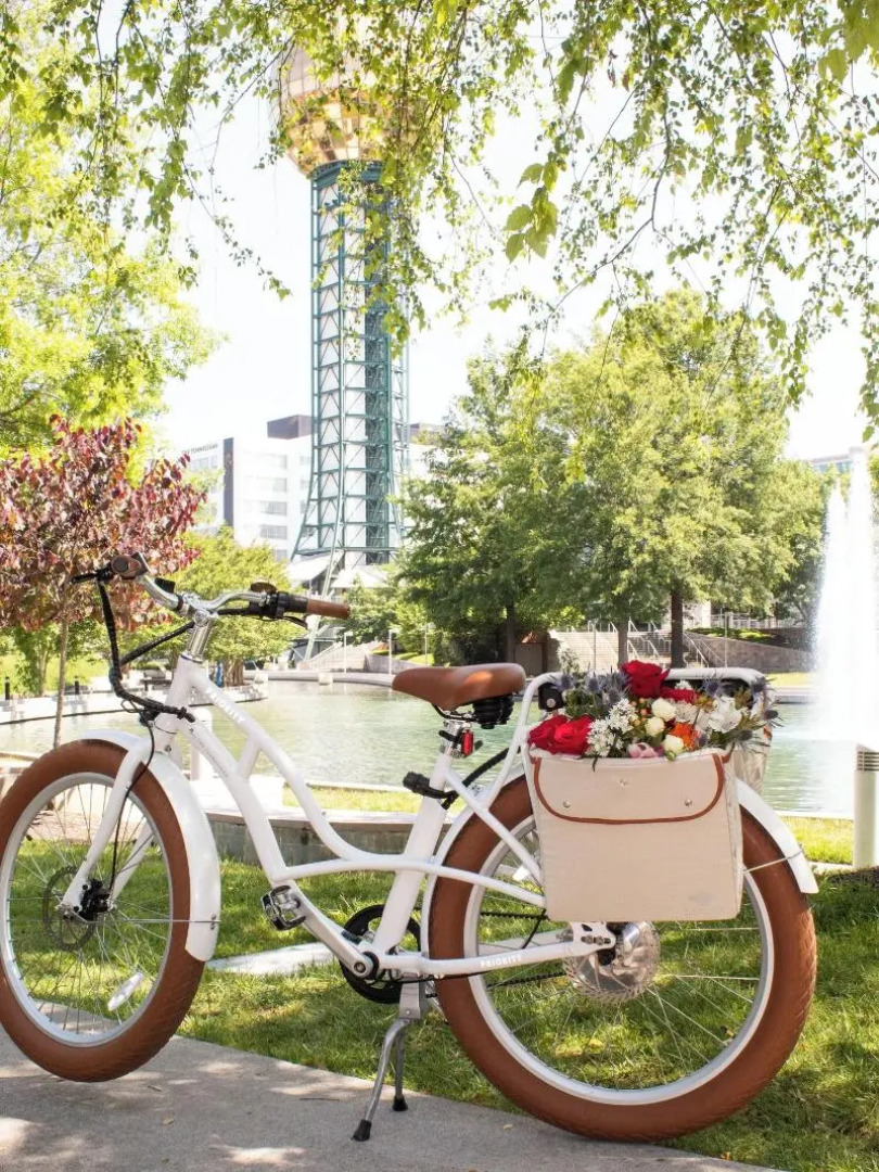 Marriott Knoxville Downtown