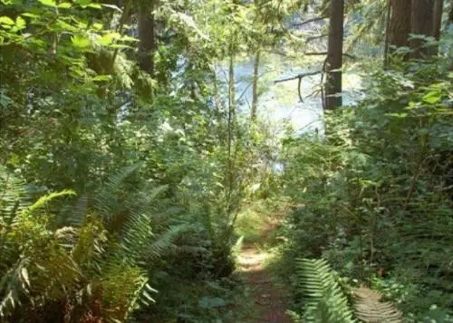 248 - Goss Lake Chalet