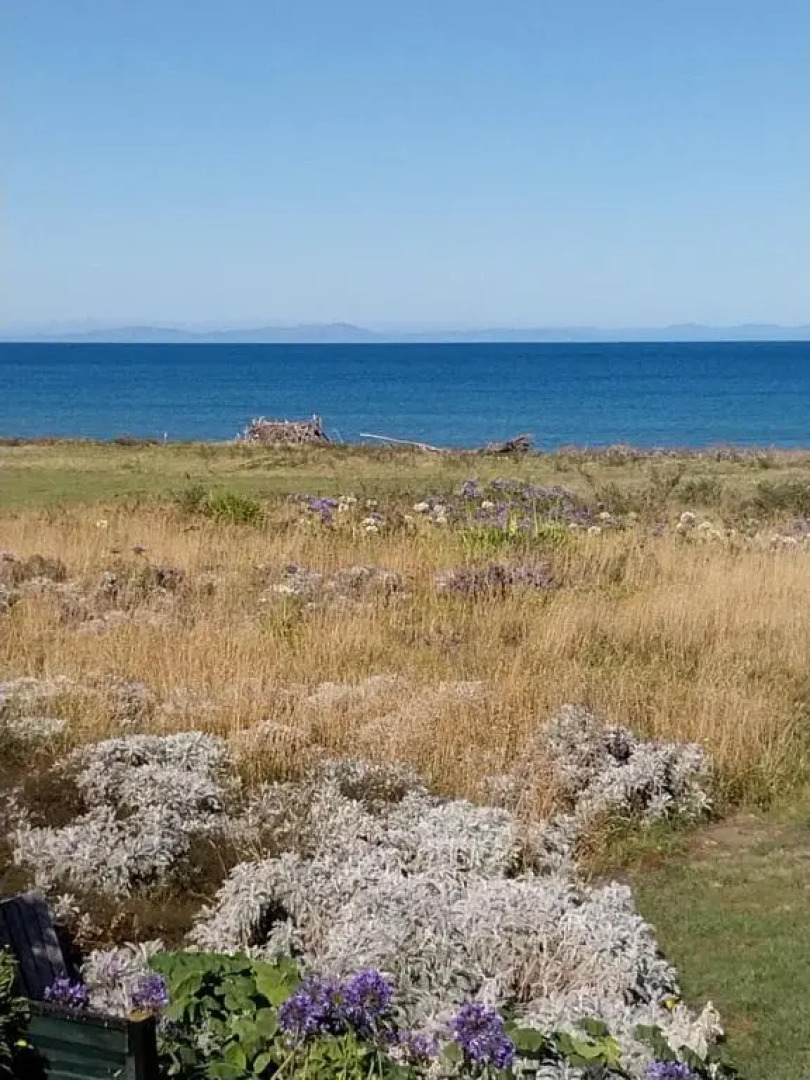 Rarangi Seaview On The Beach