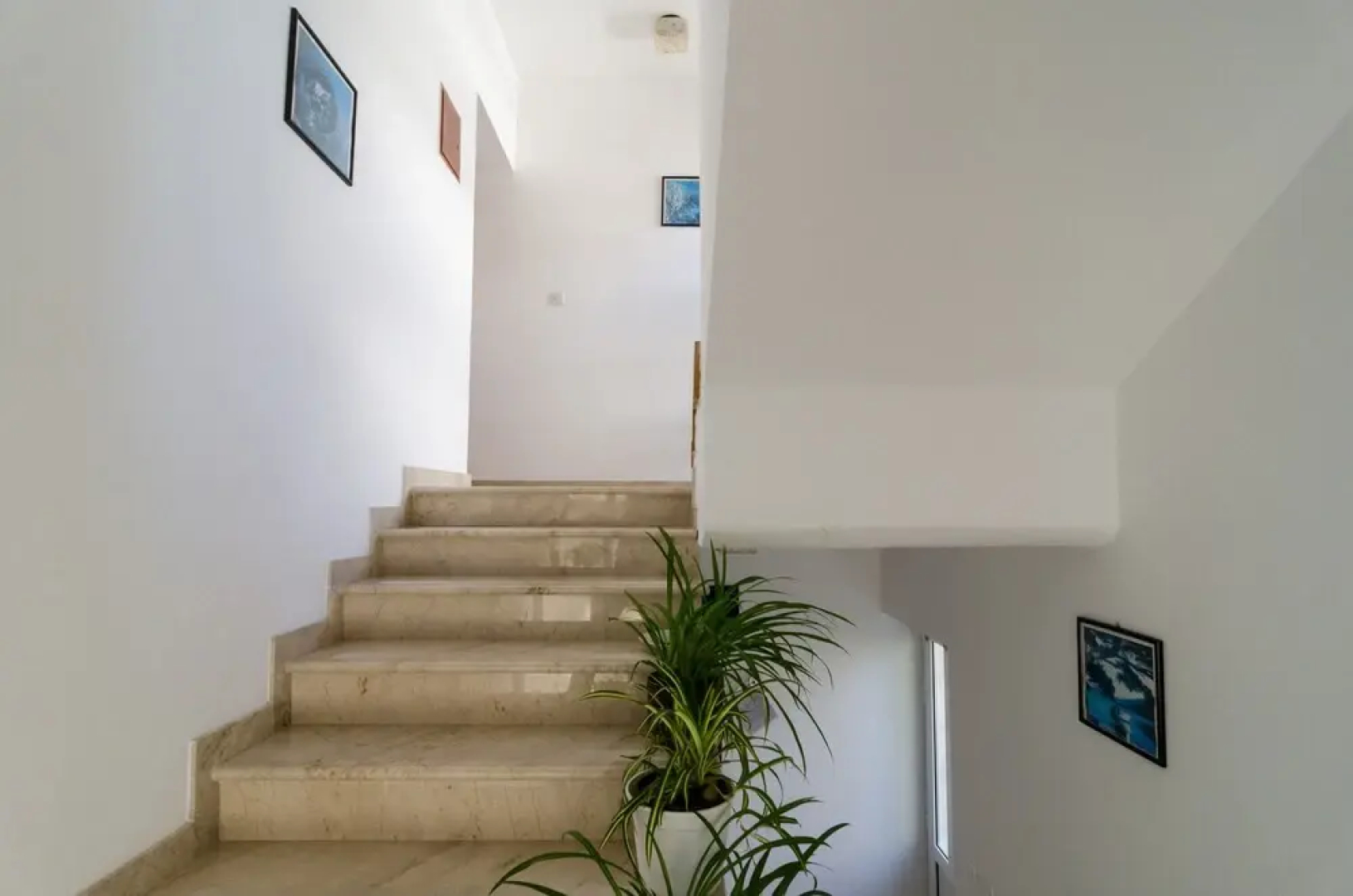 Apartments Palma