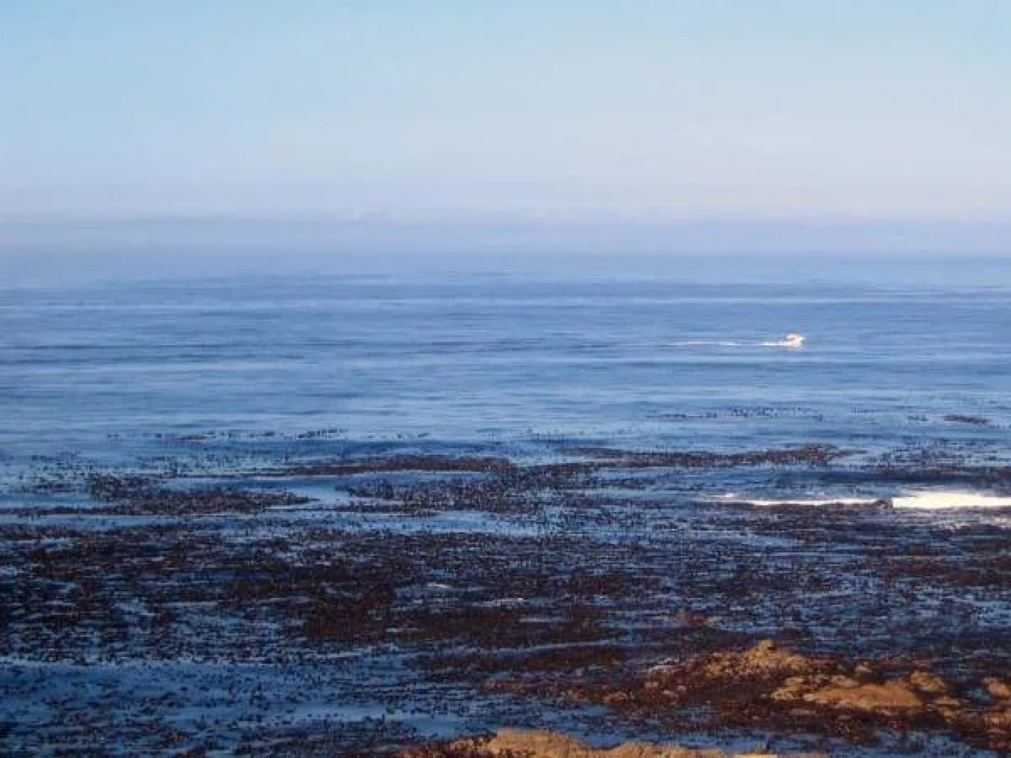 Beaumonte Guesthouse