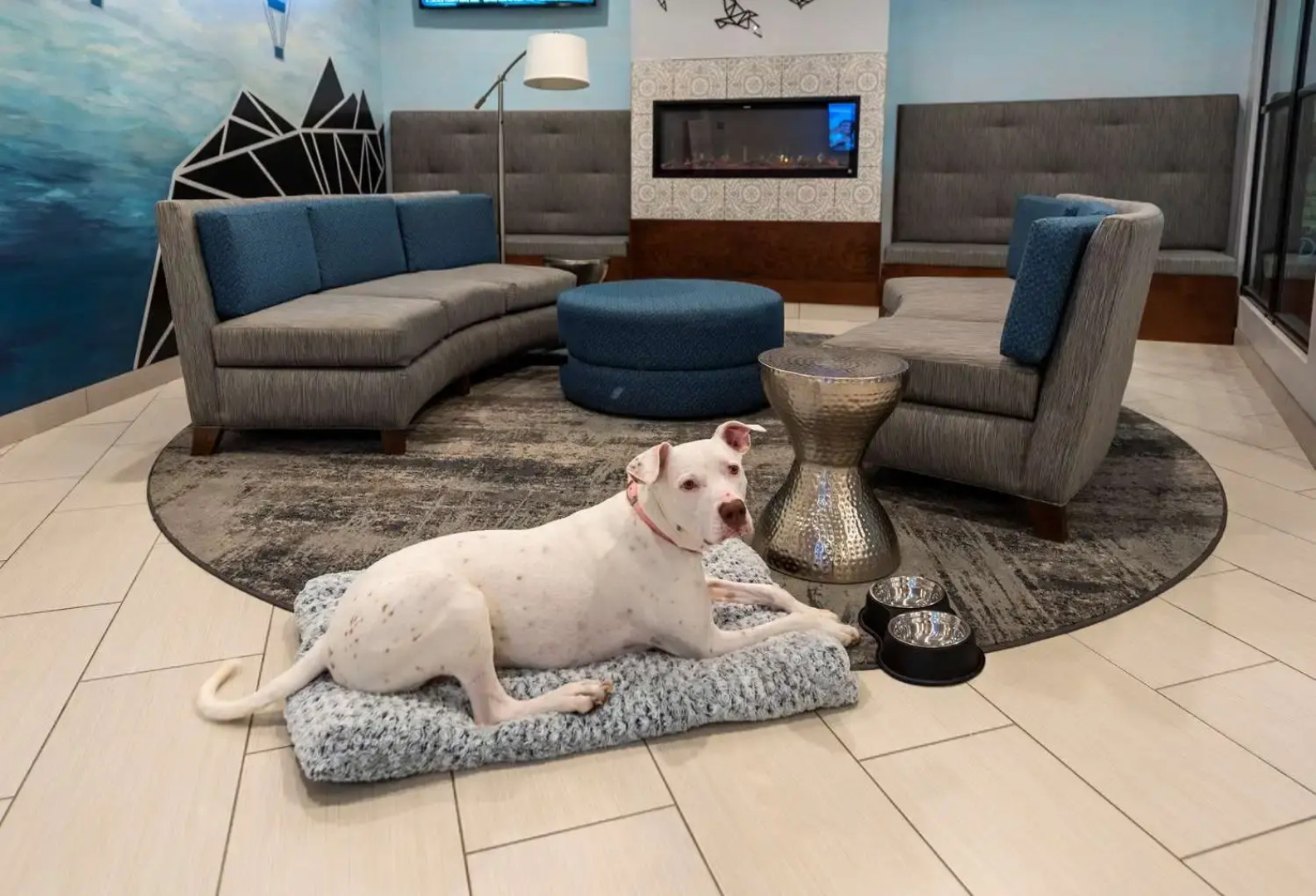 Plaza Hotel and Suites