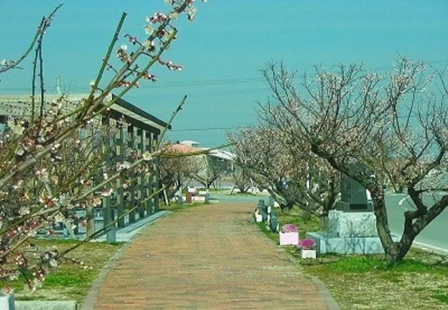 Hotel New Gaea Yanagawa