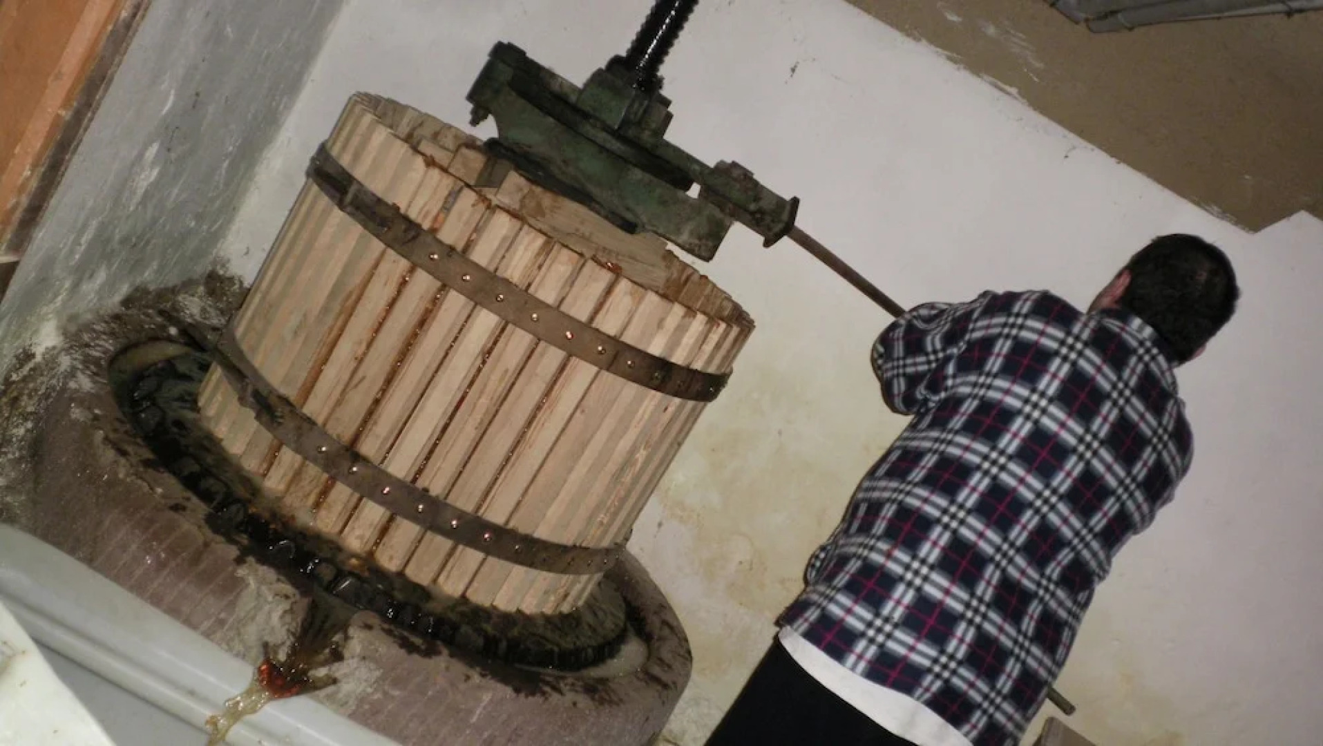 Chez Salomé et Fritz