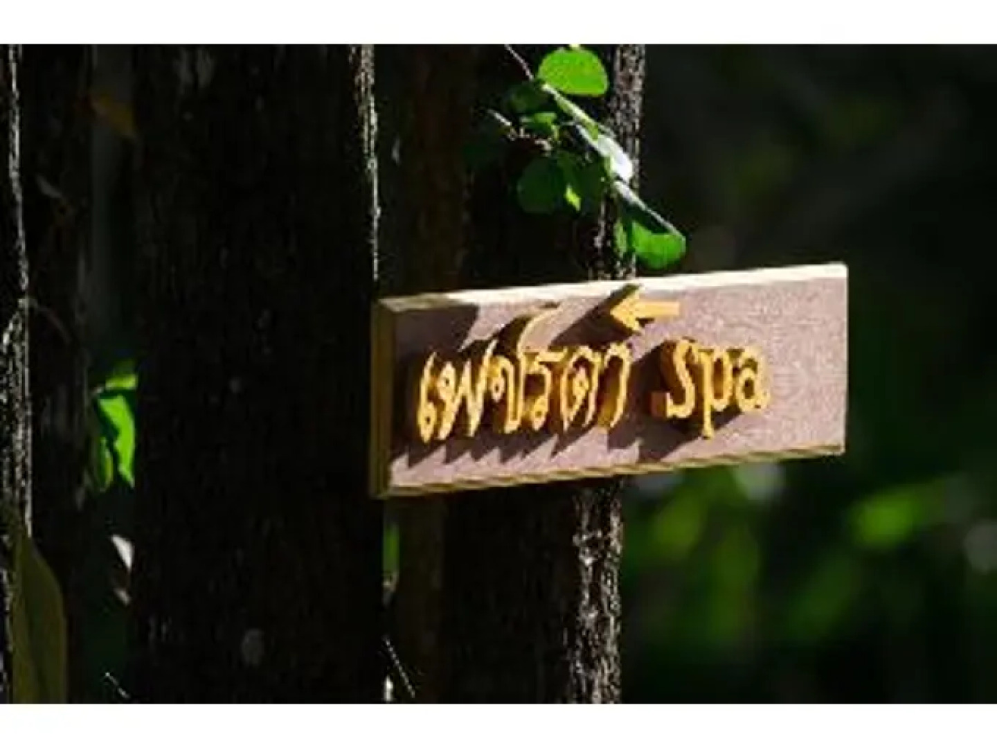 Petchvarin Resort and Spa