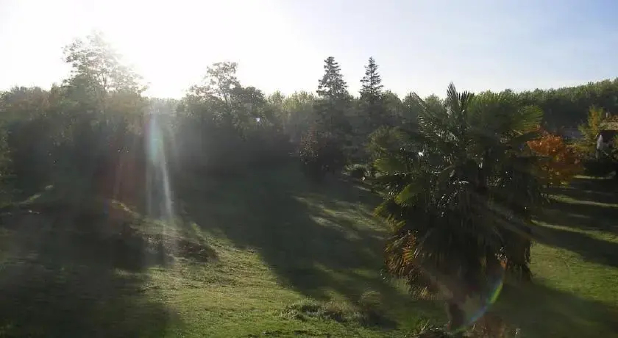 Le Domaine des Vignes