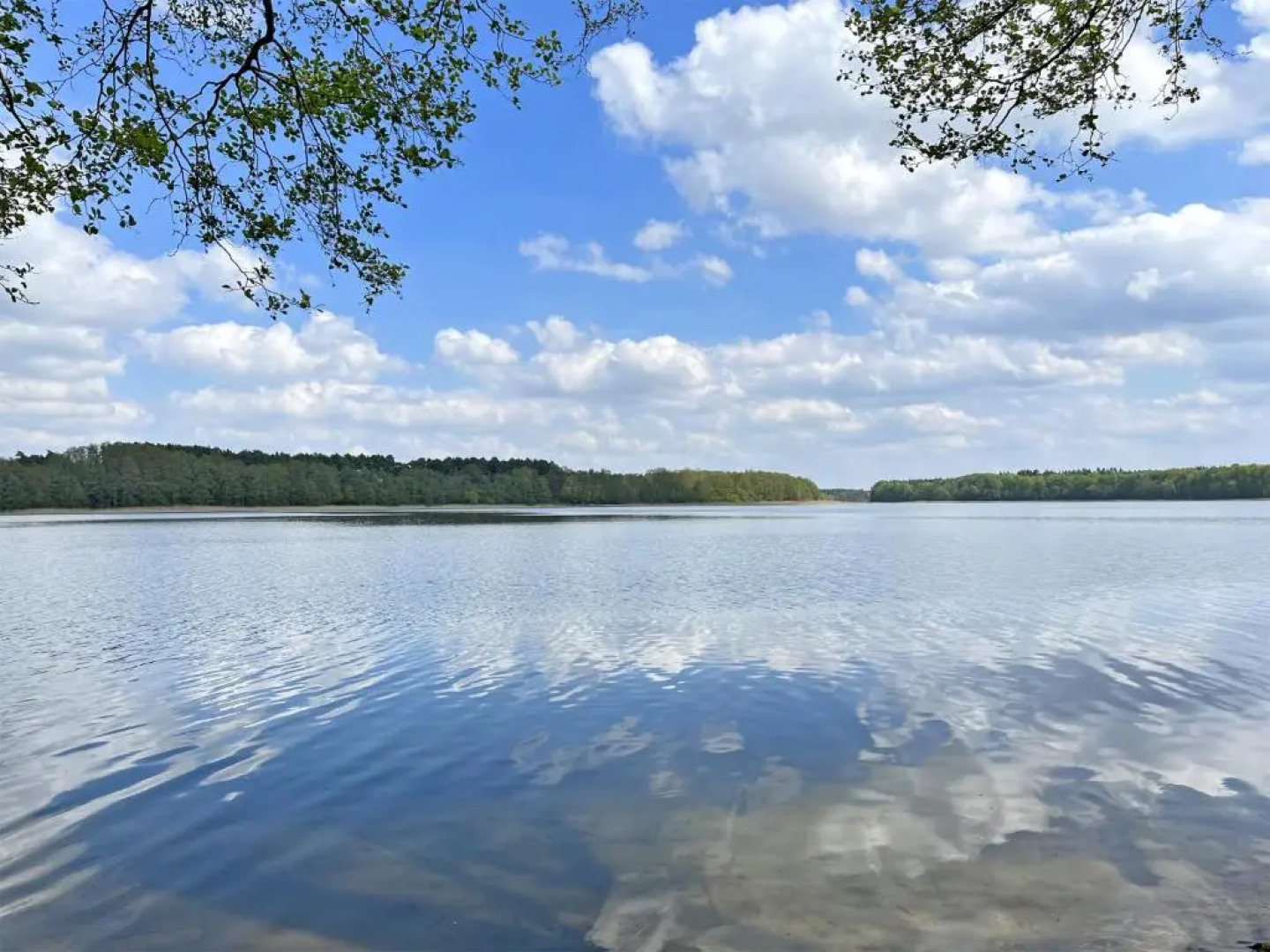 Ferienhaus Templin UCK 891