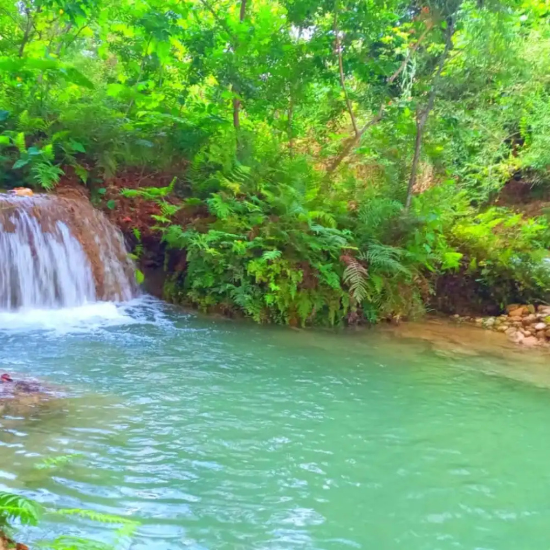 Room in Cabin - Cabanas Sierraverde Huasteca Potosina Highland Cabin
