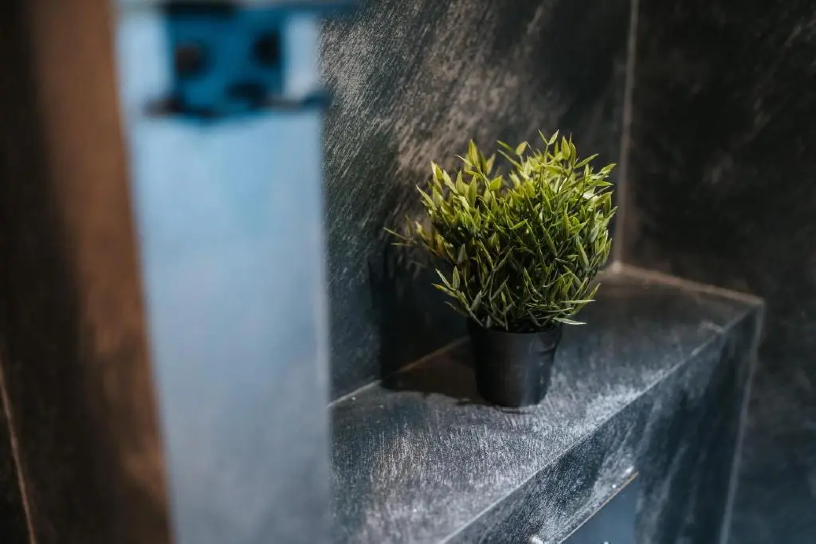 Wiedemanni 13/1 apartments