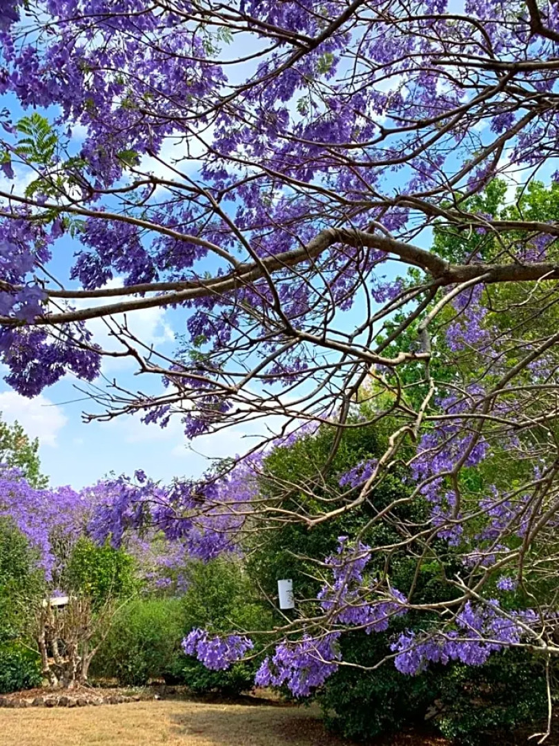 Wyndover Mountain Retreat