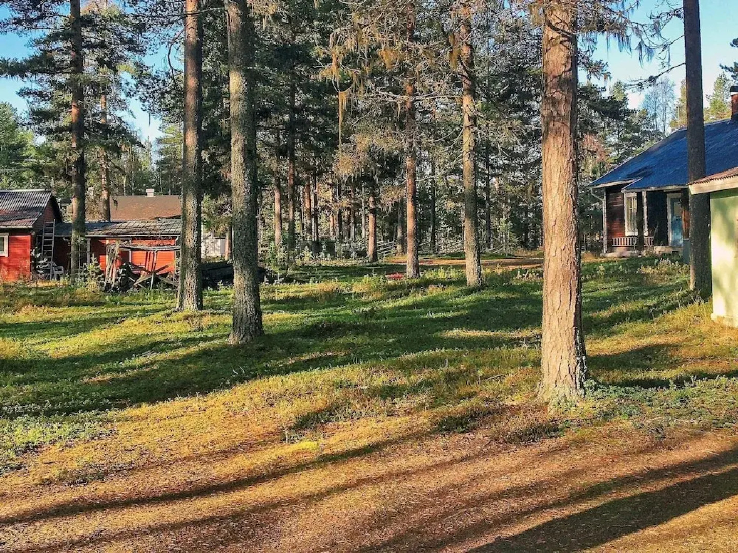 Vintage Forest Retreat-by Traum