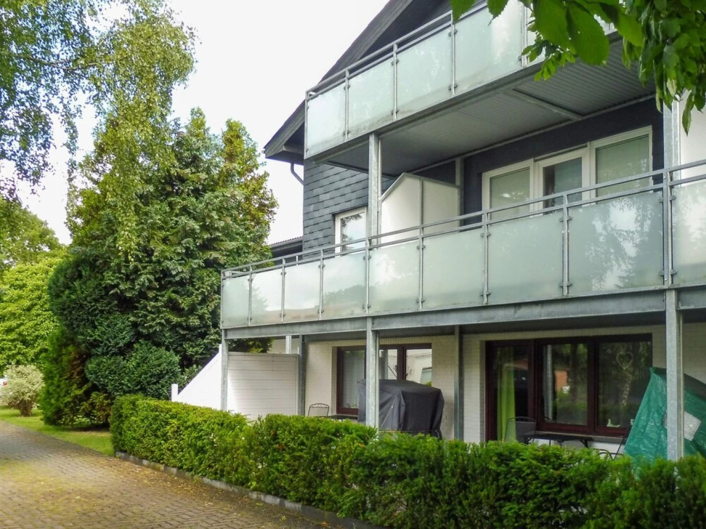 Seeschwalbe Warwerort