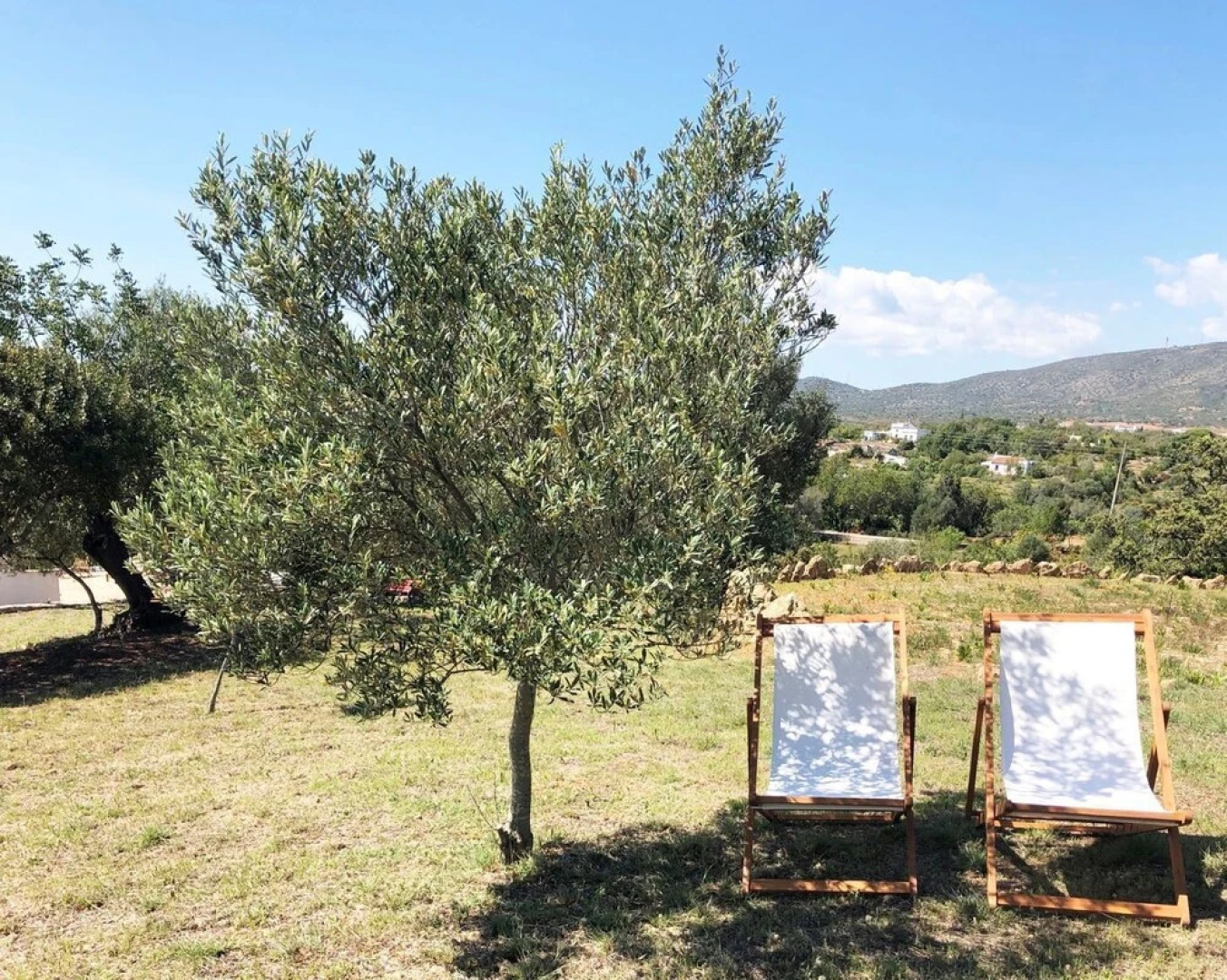 Swimming Pool 8x10meters, Wifi, Traditional Farmhouse