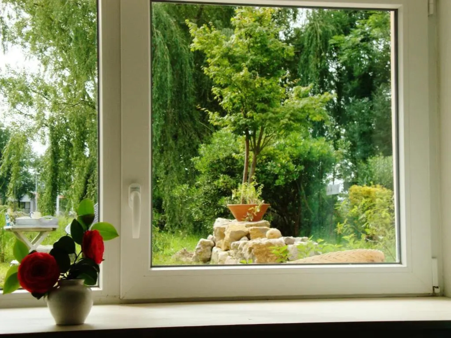 La Ventanita Del Campo