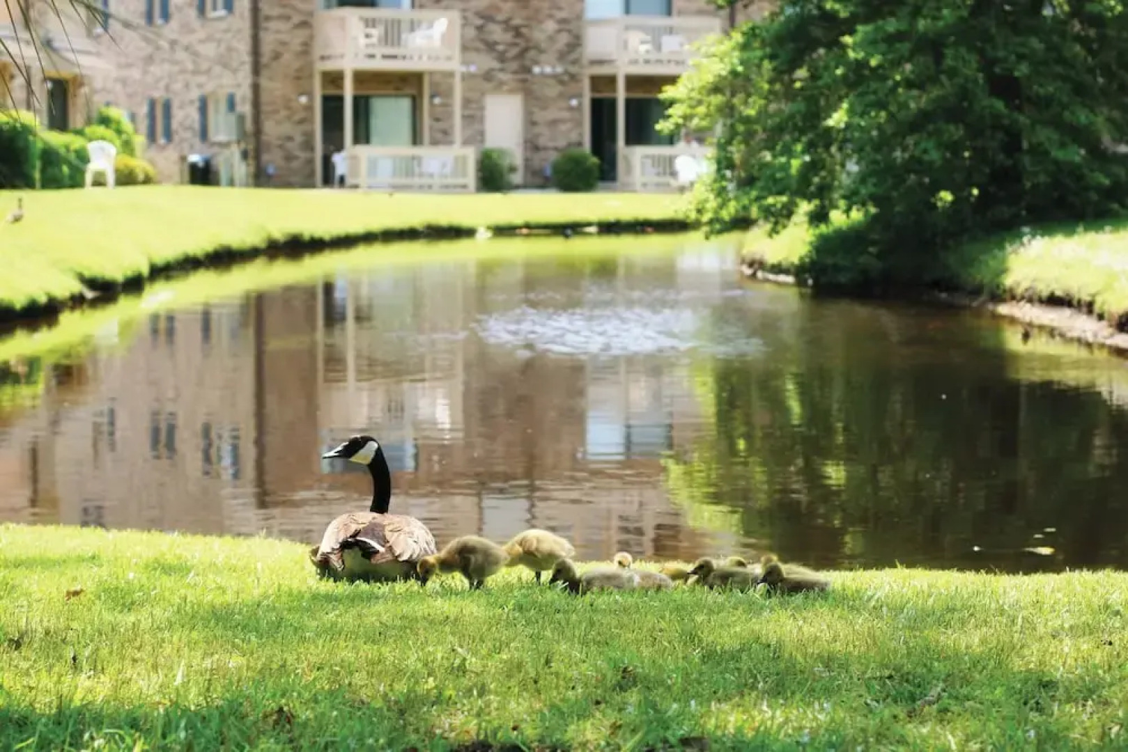 Club Wyndham Grand Palms