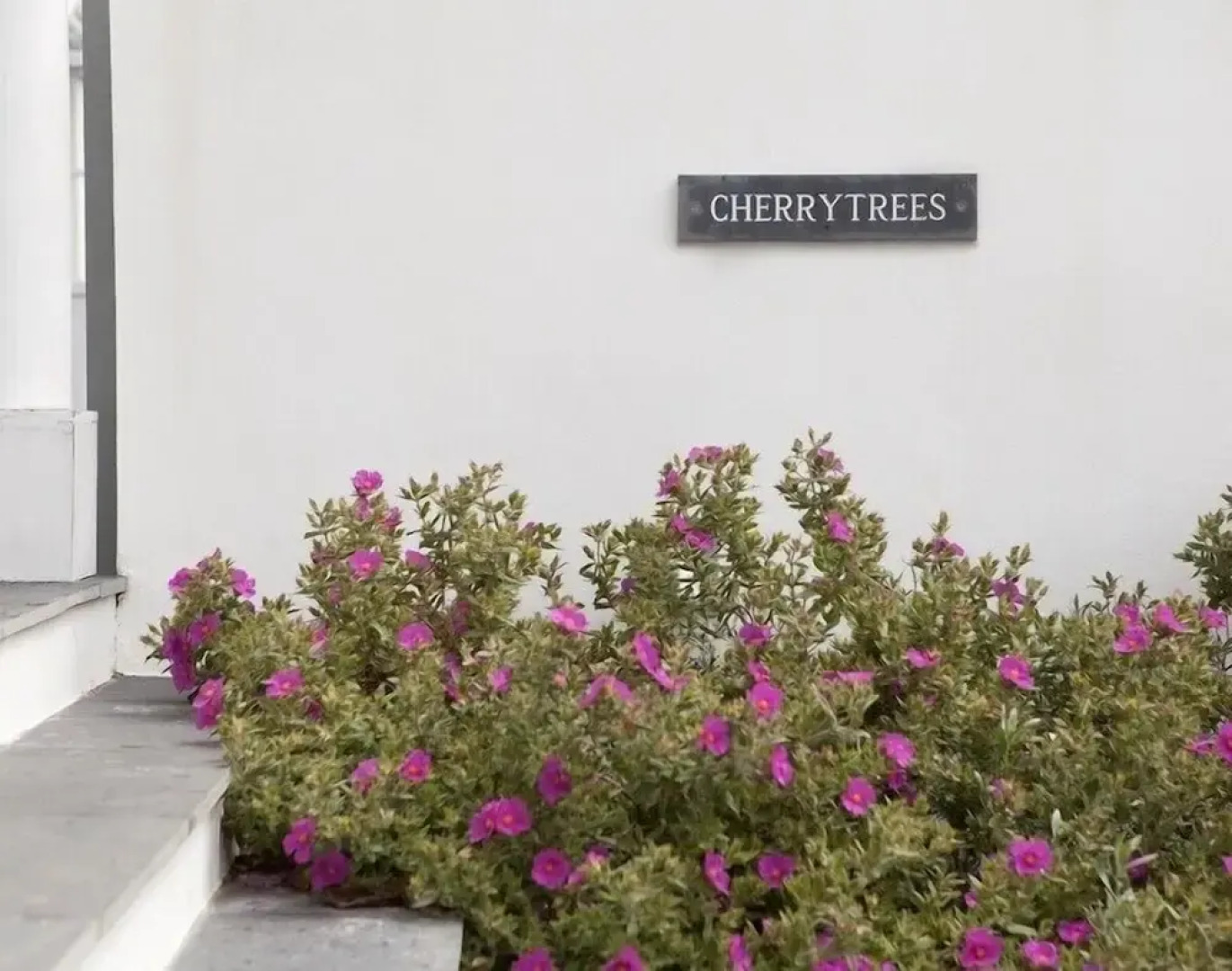 Cherrytrees