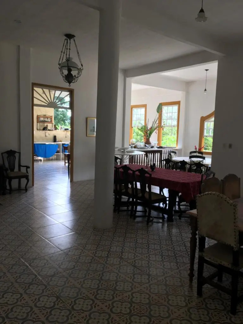 Quinta Das Palmeiras