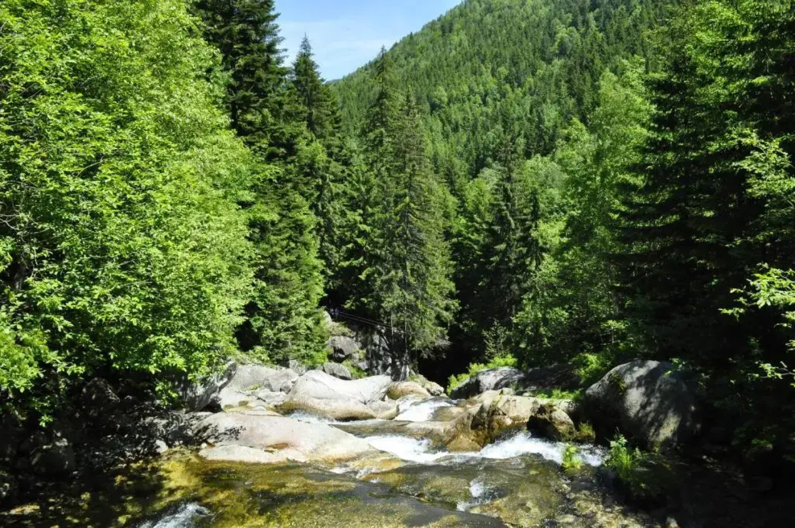 Cabana Cascada Cârnic