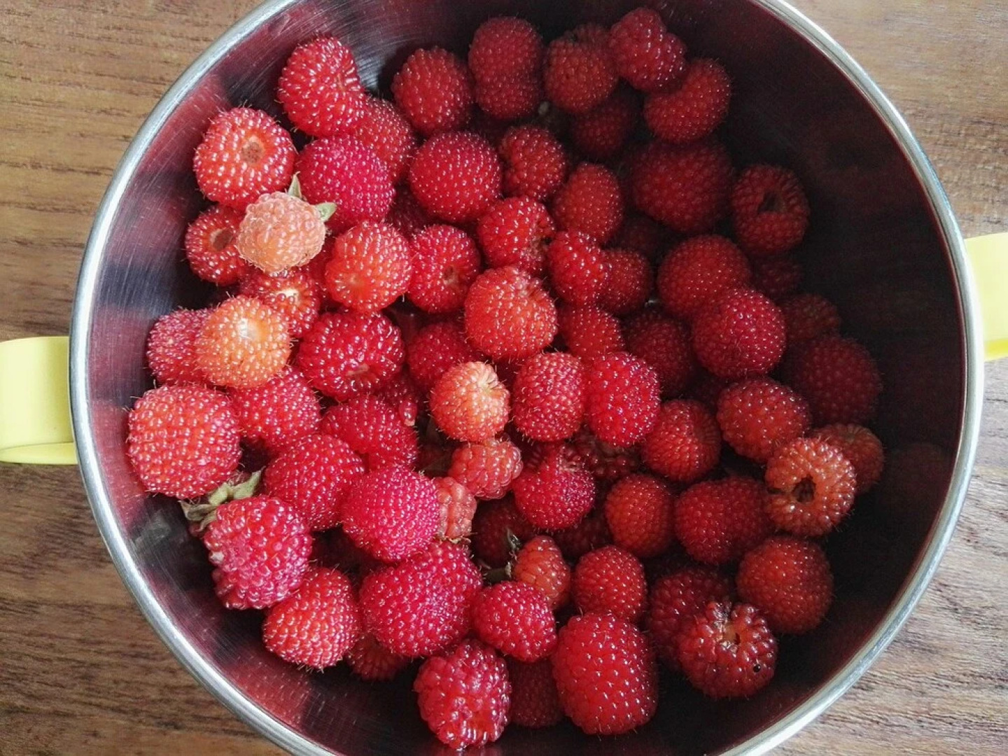 Moganshan Wild House