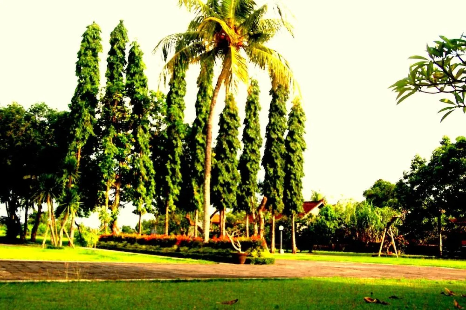 Dhyanapura City Hotel