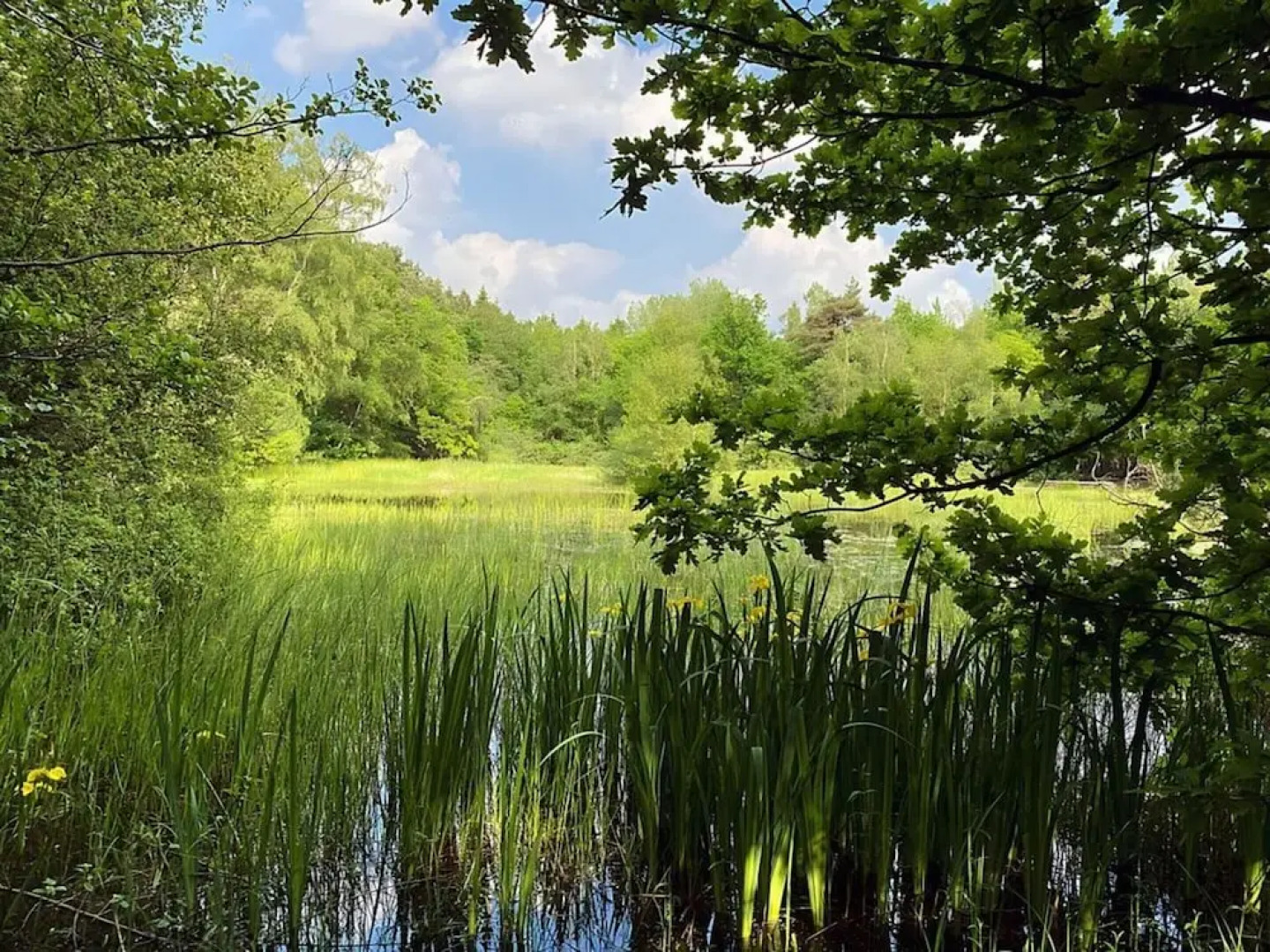 Majestic Apartment in Westerstede