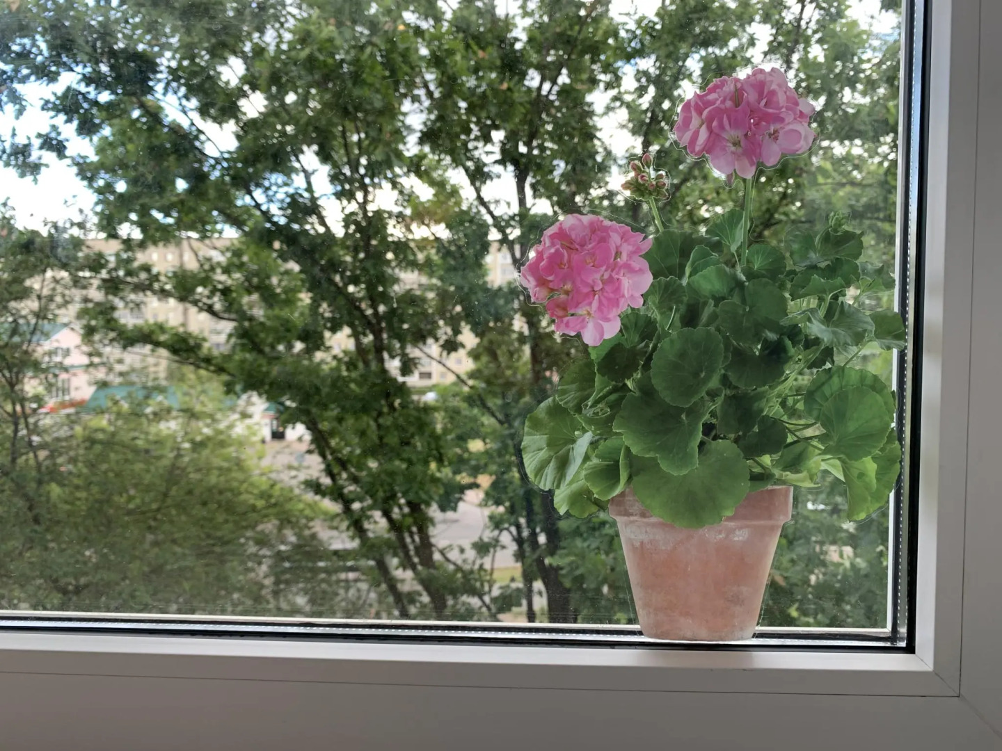 NewStory (НьюСтори) в 1-м микрорайоне