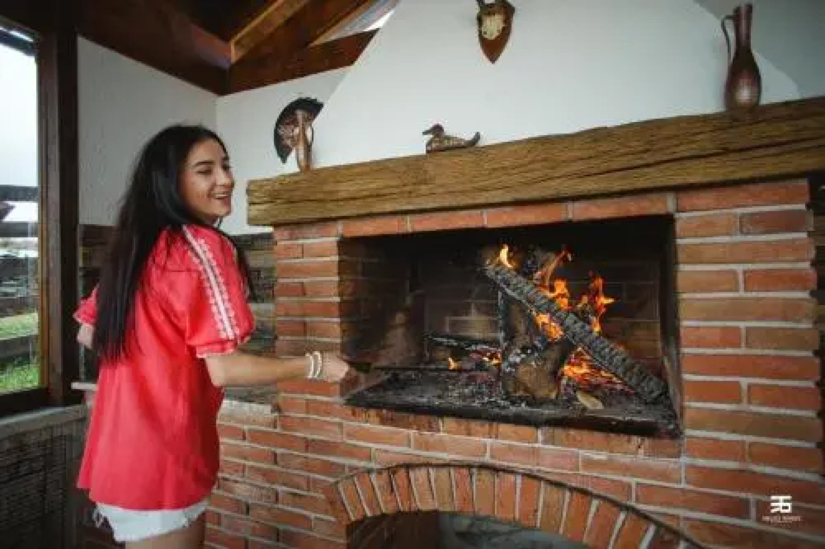 Vila Stefana Paltinis