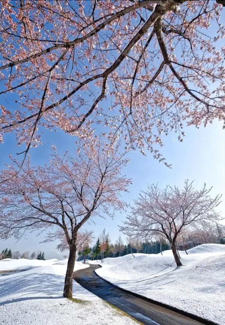 Atema Kogen Resort Belnatio