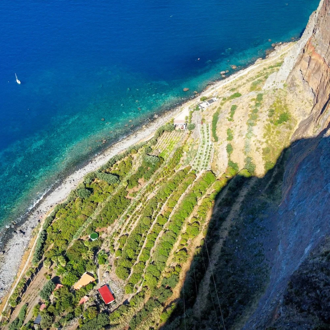 Figueiras House by Atlantic Holiday