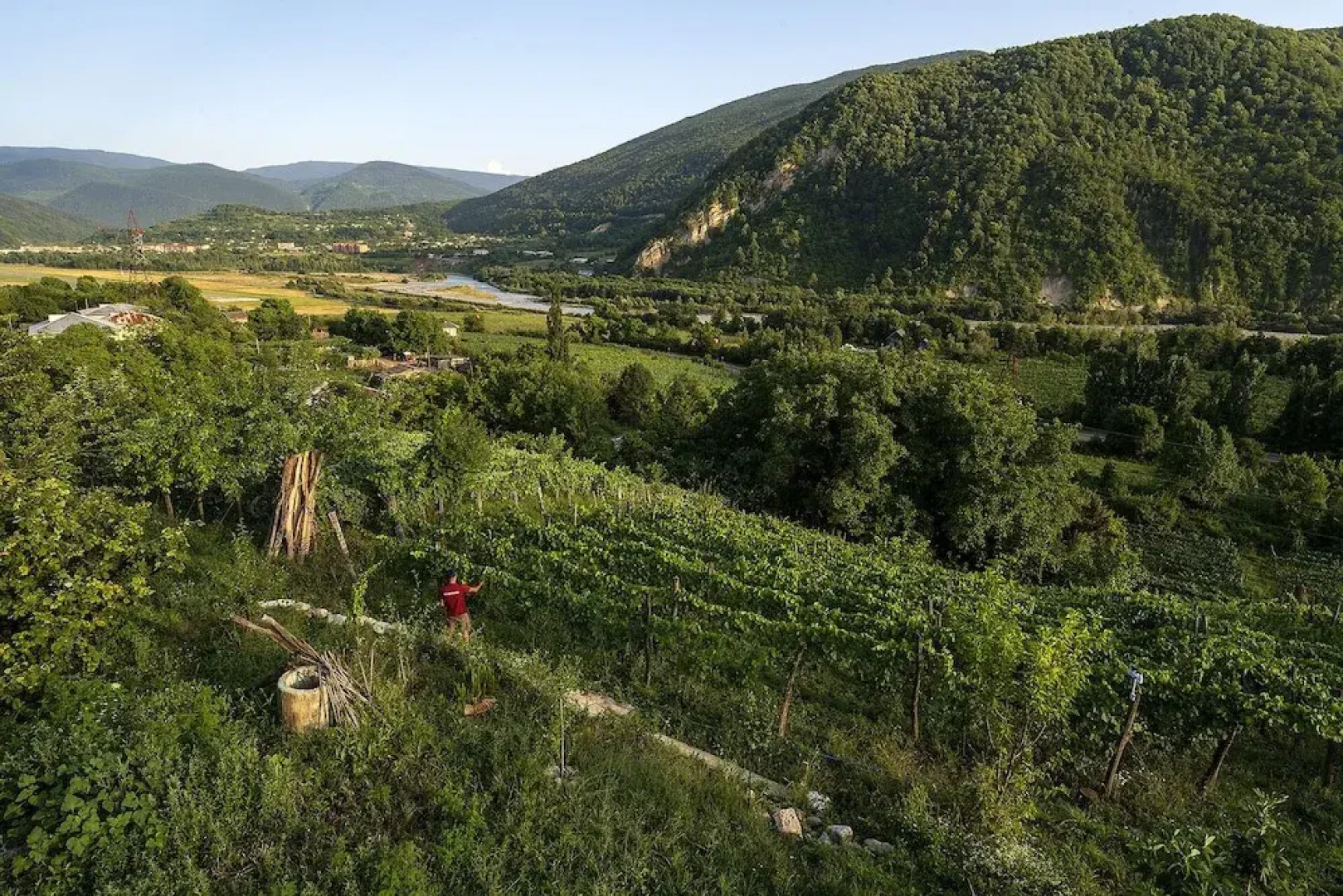 House in the Vineyard