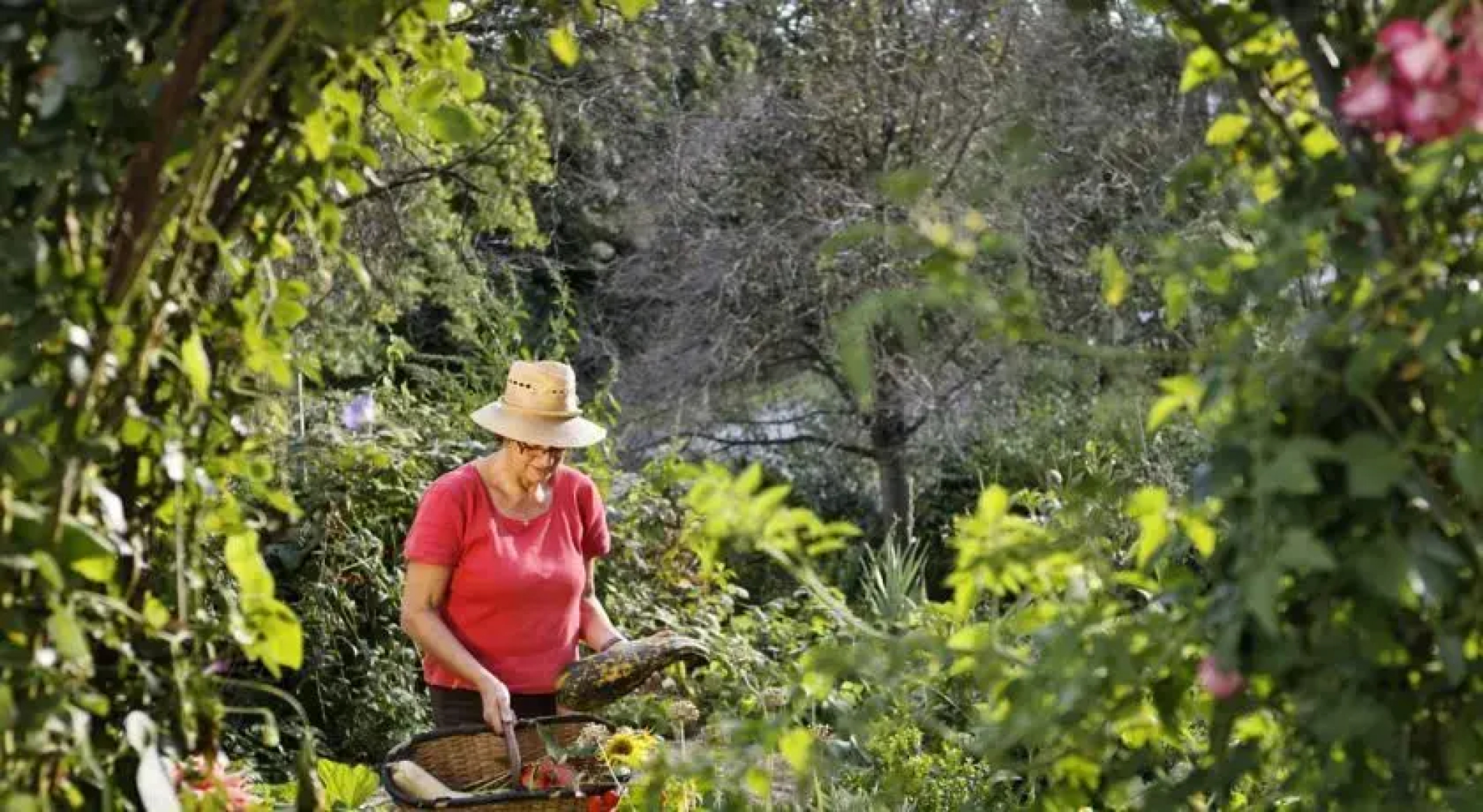 Naturparkbauernhof Pöltl