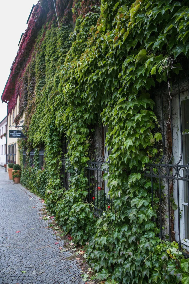 Boutique Hotel Tanzberg