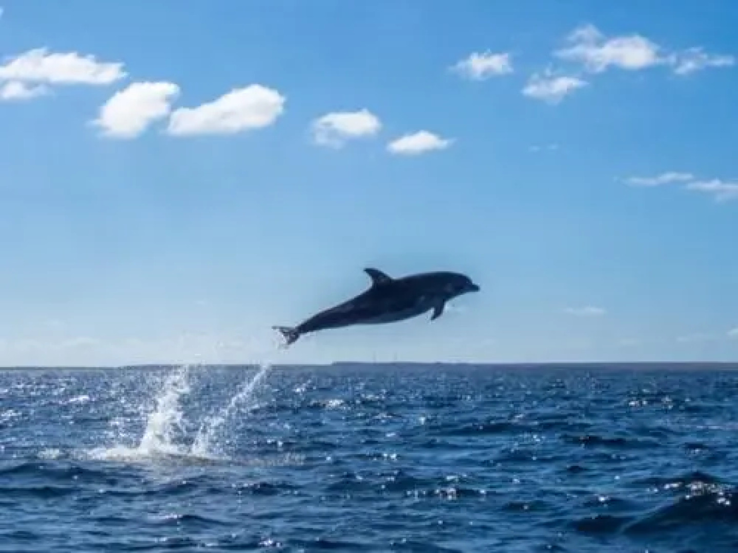 Hosteria Paradiso Spa